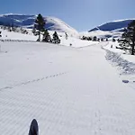 Apartamento Bjorkelia
